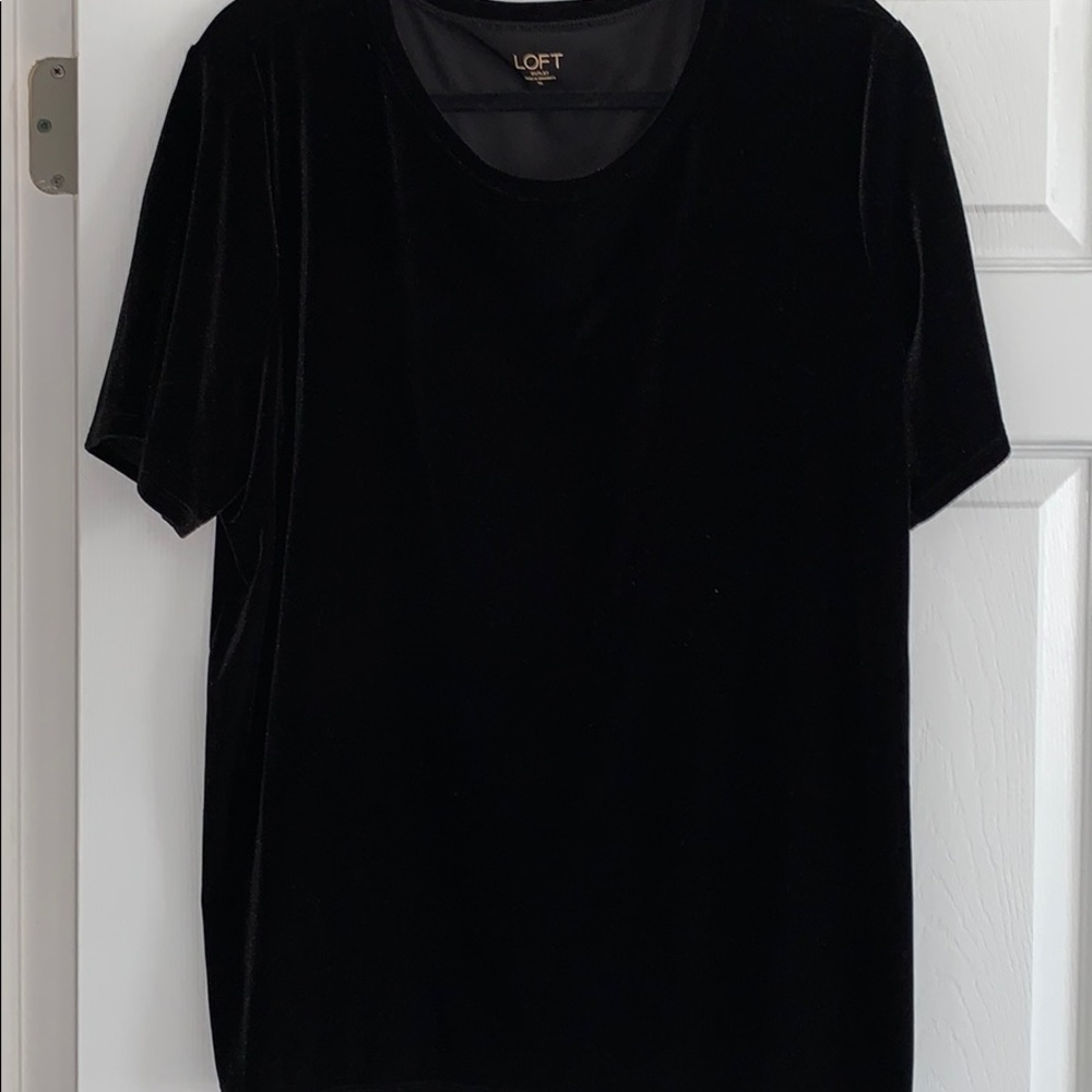 LOFT Velvet Short Sleeve Top